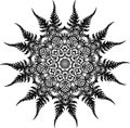 Black and white illustration of a mandala - a flower of life. Fern and leaf fractal. Royalty Free Stock Photo