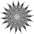 Black and white illustration of a mandala - a flower of life. Fern and leaf fractal. Royalty Free Stock Photo