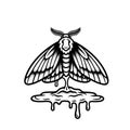 Melting Moth Tattoo Design Royalty Free Stock Photo