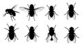 A black and white illustration of multiple flies in different positions and angles. Royalty Free Stock Photo