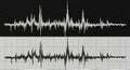 Abstract black and white sound waveform visualization with dual frequency patterns showing uniform and varied audio oscillations Royalty Free Stock Photo