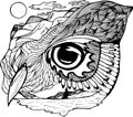 Black-white picture of a psychedellic Owl, nature, mountains, sun, ornament.