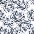 Black and white illustration rose flowers. Handwork monochrome drawing pencil. Seamless pattern in romantic style for design Royalty Free Stock Photo