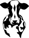 Black and white illustration of a sacred indian animal. Indian cow