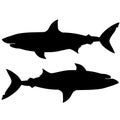 Black and white illustration of shark. Silhouette of a sea monster