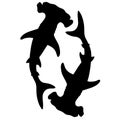 Black and white illustration of shark. Silhouette of a sea monster. Terrible bloodthirsty predator Royalty Free Stock Photo