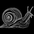 A black and white illustration of a snail with a spiral shell.