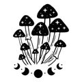 Mystic mushrooms vector emblem design
