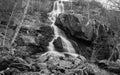 Black and White Image of Apple Orchard Waterfall Royalty Free Stock Photo