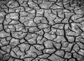 Black and white image of Background of dry cracked soil dirt or Royalty Free Stock Photo