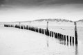 Black and white image of beach at low tide with wooden posts lan