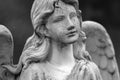 Black and white image of beautiful angel. Ancient statue Royalty Free Stock Photo