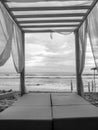 Black and white photo of beautiful sunbedunde rthe canopy on the ocean beach