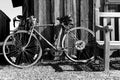 Black and white image of a bicycle leaning on a wooden shed.