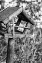 Black and white image of a birdhouse on wood in the middle of nature Royalty Free Stock Photo