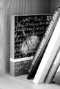 Grayscale shot of the book Great Expectations, Novel by Charles Dickens on a shelf Royalty Free Stock Photo