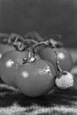 black and white image,Tomatoes, Branch, Ripe, Kitchen Boards, M