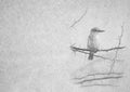 Black and White Image of Brown-hooded Kingfisher on Card Banner