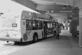 Black and white image of buses and people