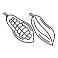 Black and white image of a cacao bean. V