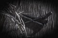 Black and white image of crown of thorns and nails again vintage wooden background as symbol of crucifixion of Jesus Christ Royalty Free Stock Photo