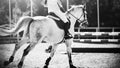 A black-and-white image of a dapple horse with a rider in the saddle galloping and about to jump over the barrier. Equestrian Royalty Free Stock Photo