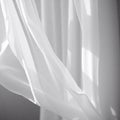 black and white image of delicate soft chiffon Royalty Free Stock Photo