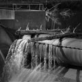 A black & white image depicting logs going over a dam Royalty Free Stock Photo