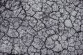 Black and white image of dry cracked soil texture background, dr Royalty Free Stock Photo