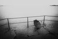 Black and white image of forgotten umbrella a rainy day by the water