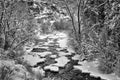 Black and white image of Frying Pan River winter scene Royalty Free Stock Photo