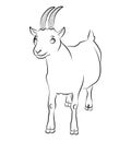 Black and white image of a goat