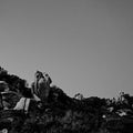 Black and white image. Gorilla-shaped rocks Royalty Free Stock Photo
