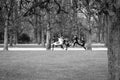 Black and white image of a group of children running in a park Royalty Free Stock Photo