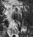 Kepler Cascades in Yellowstone National Park, Wyoming Royalty Free Stock Photo