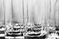 Black and white image of the a lot of glasses for beverages as abstract background. Royalty Free Stock Photo