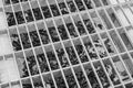 Black and white image of a metal grate. Abstract background for design Royalty Free Stock Photo