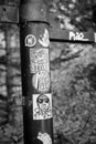 Black and white image of a metal street pole with multiple stickers