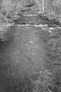 A Black and White Image of a Mountain Trout Stream in the Blue Ridge Mountains Royalty Free Stock Photo