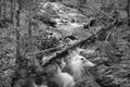 A Black and White Image of a Mountain Trout Stream Royalty Free Stock Photo