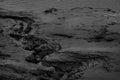 Black and white image of mudflats