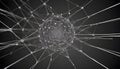 A black and white image of a network of interconnected lines, resembling a web or a neural network. The image is