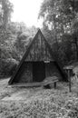 Black and white image of old hut in forest Royalty Free Stock Photo
