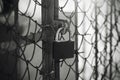 A black-white image of an old shabby lock hanging on a metal mesh gate