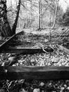 Black white image of an old train rail Royalty Free Stock Photo