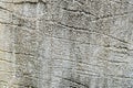 black and white image of an old wall plastered with rough plaster for background. texture background. Royalty Free Stock Photo