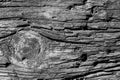 Black and white image of old wood. Royalty Free Stock Photo