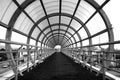 Black and white image of a Pedestrian walkway in the city, metal structure of the ceiling in a walkway Royalty Free Stock Photo