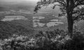 A Black and White Image of the Piedmont Valley Royalty Free Stock Photo