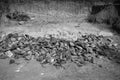 Black and White Image of Pile Of Rocks I.E. Lithium Mining And Natural Resources Like Limestone Mining In Quarry. Natural Zeolite Royalty Free Stock Photo